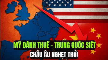 Châu Âu Khủng Hoảng: Mỹ Giáng Đòn Thuế Quan – Trung Quốc Cắt Nguồn Chip