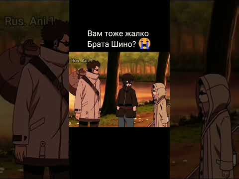 Жалко Шино и