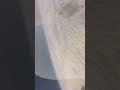 NASA’s New Discovery Changes Everything