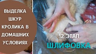 Последний, финишный этап-шлифовка шкур.