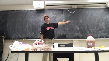 Math341 2018Fall Lec20 MarkovChebyshevDivideConquer