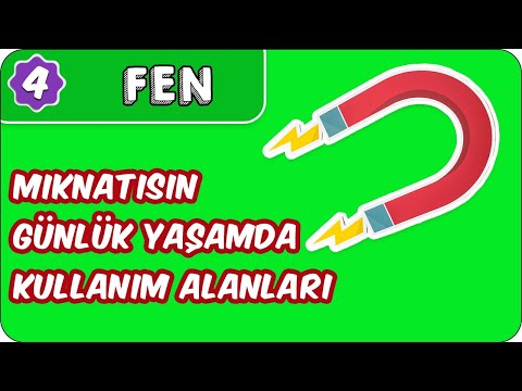 Mıknatısın Günlük Yaşamda Kullanım Alanları  | 4. Sınıf Fen evokul Kampı