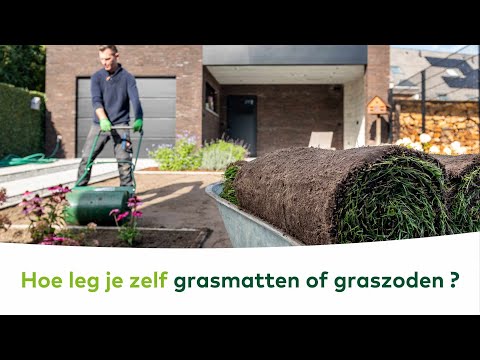 In deze video tonen we je met een simpel stappenplan hoe je zelf graszoden of grasmatten legt.Grasmatten kan je het hele jaar leggen, zolang de temperatuur m...