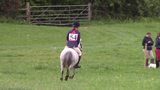 Dusty at Tumpy Green Show Jumping Phase One Day Event