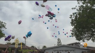 $25K Being Offered To Find Gunman Who Killed Mother, Son In Carson In 2016