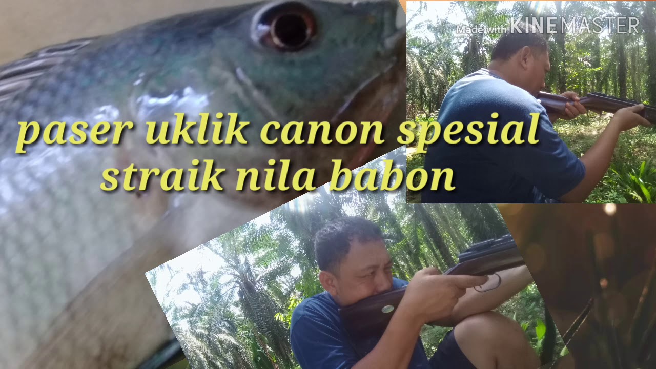 Paser uklik canon ori