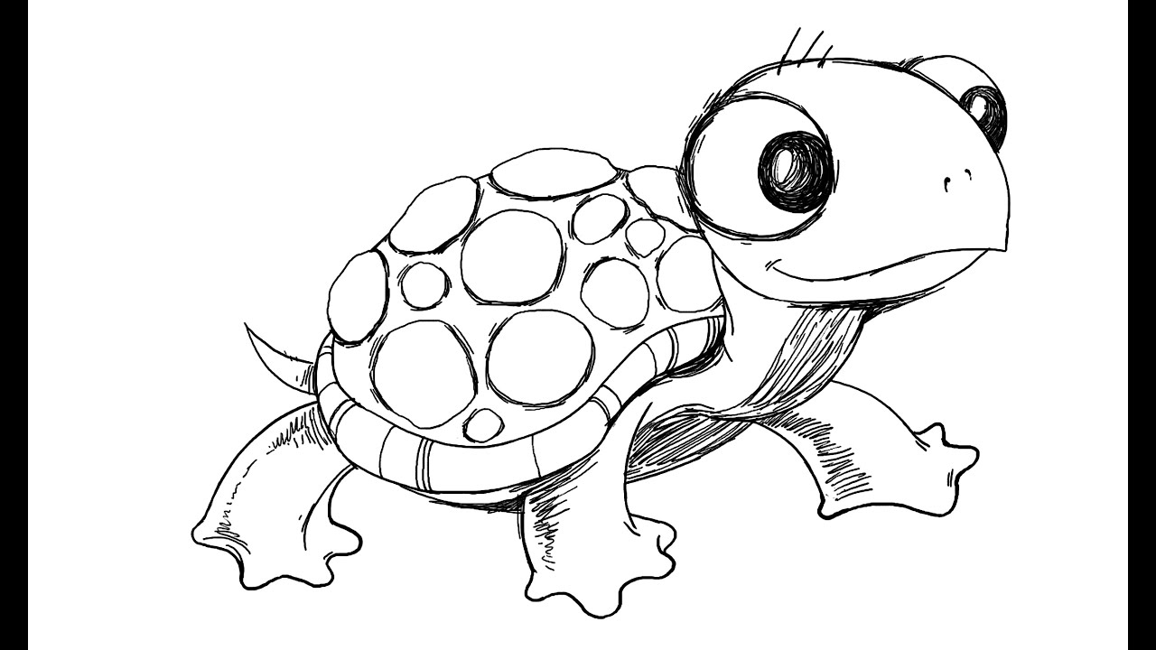 How to draw Cartoon Turtle - YouTube