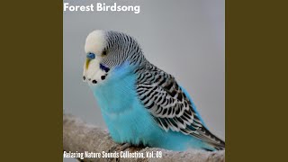 Soaring Wind Alpine