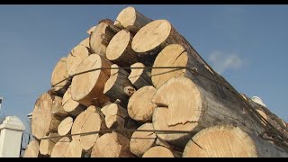 «Купить дрова не по карману». В Улан-Удэ стоимость твёрдого топлива доходит до 40 тысяч за грузовик
