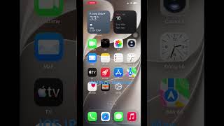 iOS IPhone 12 Pro Max
