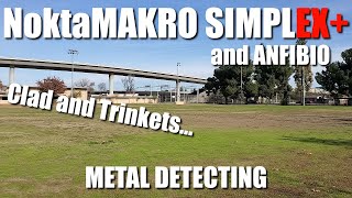 Metal Detecting:  NoktaMakro Simplex + Anfibio at the Park