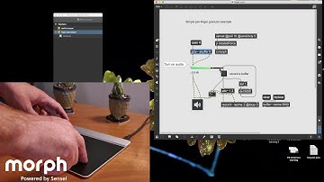01 - Finger Buffers. Max & Morph: Multitouch