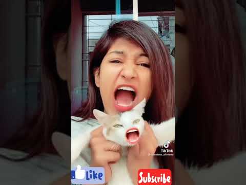 new badam tiktok||tiktok crrativity