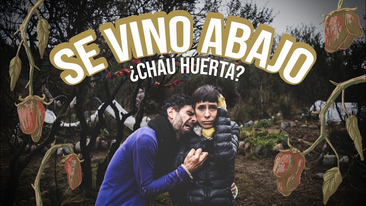 El colapso: ¡nuestro HUERTO está en apuros!