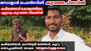 അപൂർവ കൃഷികളുടെ രാജാവ്|തൊപ്പകിഴങ്ങ് കരിമഞ്ഞൾ കസ്തൂരി മഞ്ഞൾ|solar fencing and advantages full details