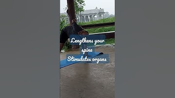 What is triangle pose good for? [ Aug 2022] ( trikonasana) #yoga #trianglepose #trikonasana #spine