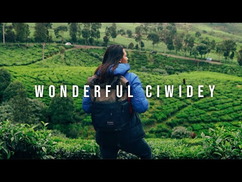 WONDERFUL CIWIDEY - ( Situ Patenggang & Perkebunan teh Rancabali ) #ExploreBandung