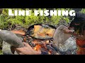Line fishing and catch stingray a shark   eating fry fish with bread