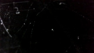 Dominik Javorek Živé Vysílání