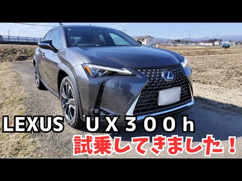 レクサスＵＸ３００ｈ試乗してきました！２０２３年１２月に第５世代ハイブリッド搭載！