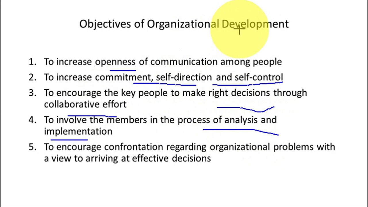 Organisation Development: Concept, Features, Objectives, and Roles