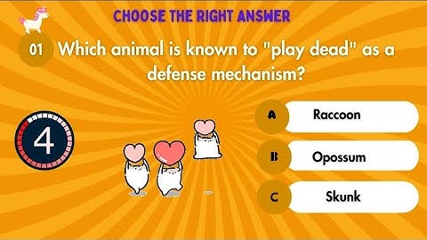 Ultimate General Knowledge Quiz for everyone! 🌍 (20 Fun & Educational Questions  Boost Your Brain!)"
