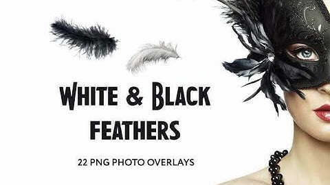22-White-and-Black-feathers-Photo-Overlays || Photoshop Overlay Download