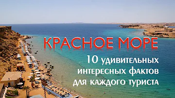 10 интересных фактов про Красное Море. Египет 2021.