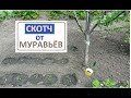 Обычный СКОТЧ ПРОТИВ МУРАВЬЁВ