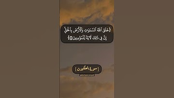 سورة العنكبوت الآية ٤٢ الى ٤٥ بصوت الشيخ محمد صديق المنشاوي