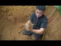 Large excavator working meet forest mouse  use excavator dig hole catch forest mouse