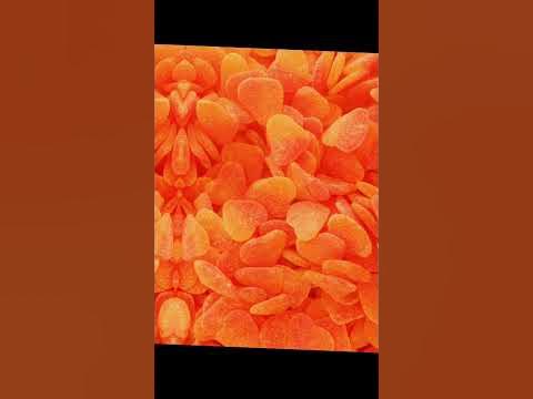 // Оранжевый🧡 // - YouTube