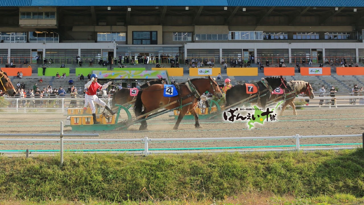 ばんえい十勝LIVE 令和8年度第4回能力検査 第1R 9:00 発走予定