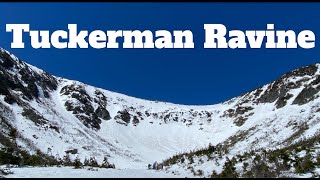 Spring Skiing in Tuckerman Ravine: The Lip, Lobster Claw, Left Gully, and Right Gully