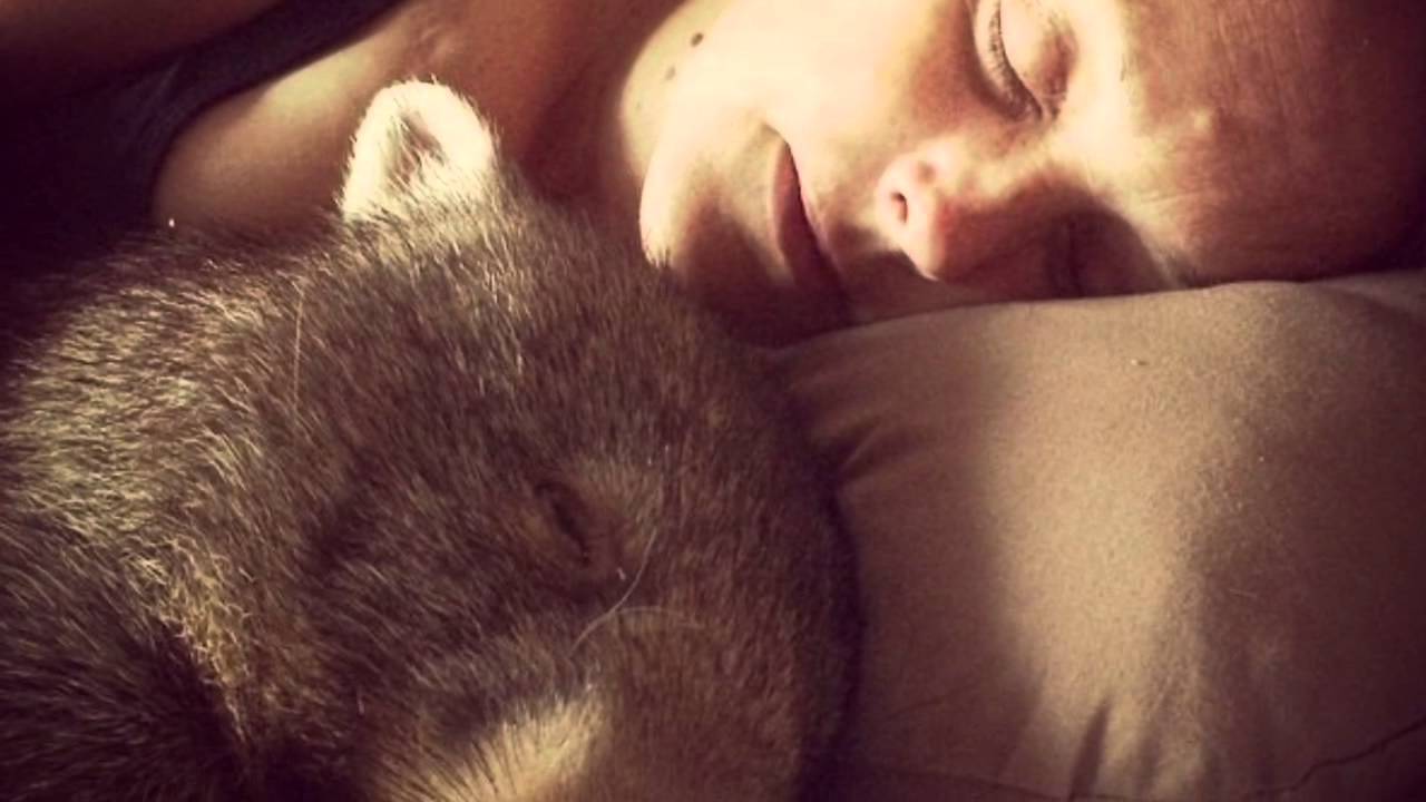 The Worlds Happiest Wombat - Sammy Simon