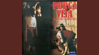 Video thumbnail of "Porca Véia - Fandangueiro"