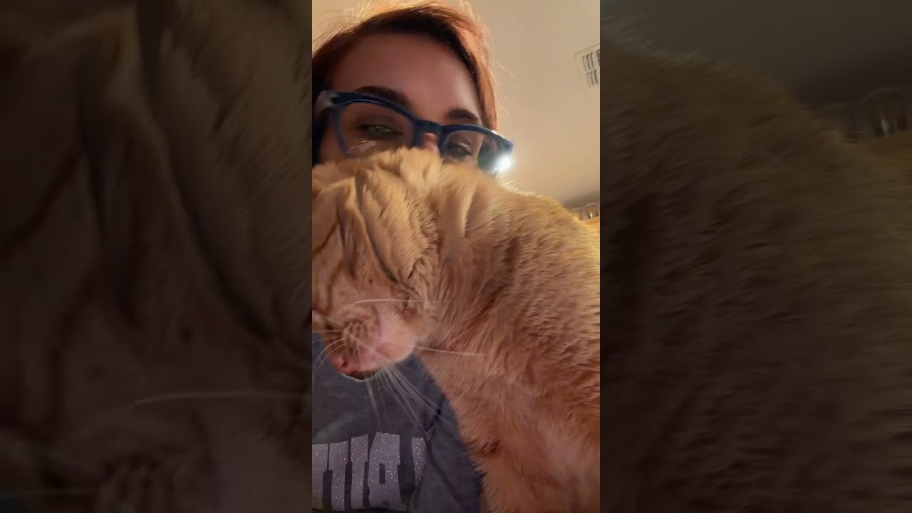 Наслаждайся моментом