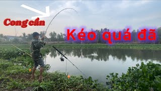 Sông trống lỗ lục bình hốt trọn ổ cá tra sông quá đã✅✅#fishing