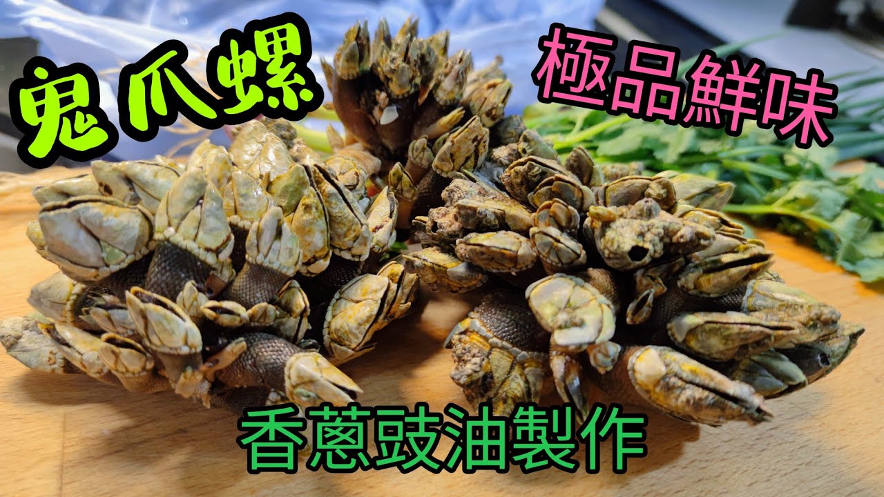 〈職人吹水〉 極品鮮味 /鬼爪螺/我很醜但很鮮美/狗爪螺/長咀藤壺當中烹調技巧/香蔥豉油調配@Singsingkitchen/ - YouTube
