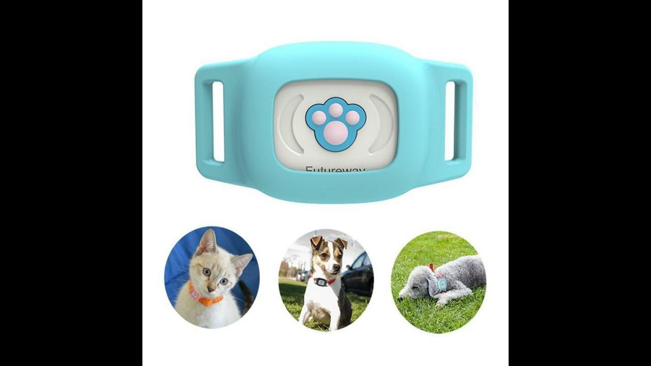 Pet GPS Tracker Collar Mini LBS Tracking Pet GPS Collar Locator Tracking For Cats Dogs YouTube