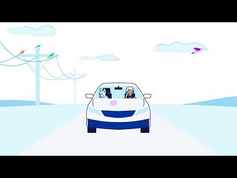 Allstate Paint And Fabric Defense Cost