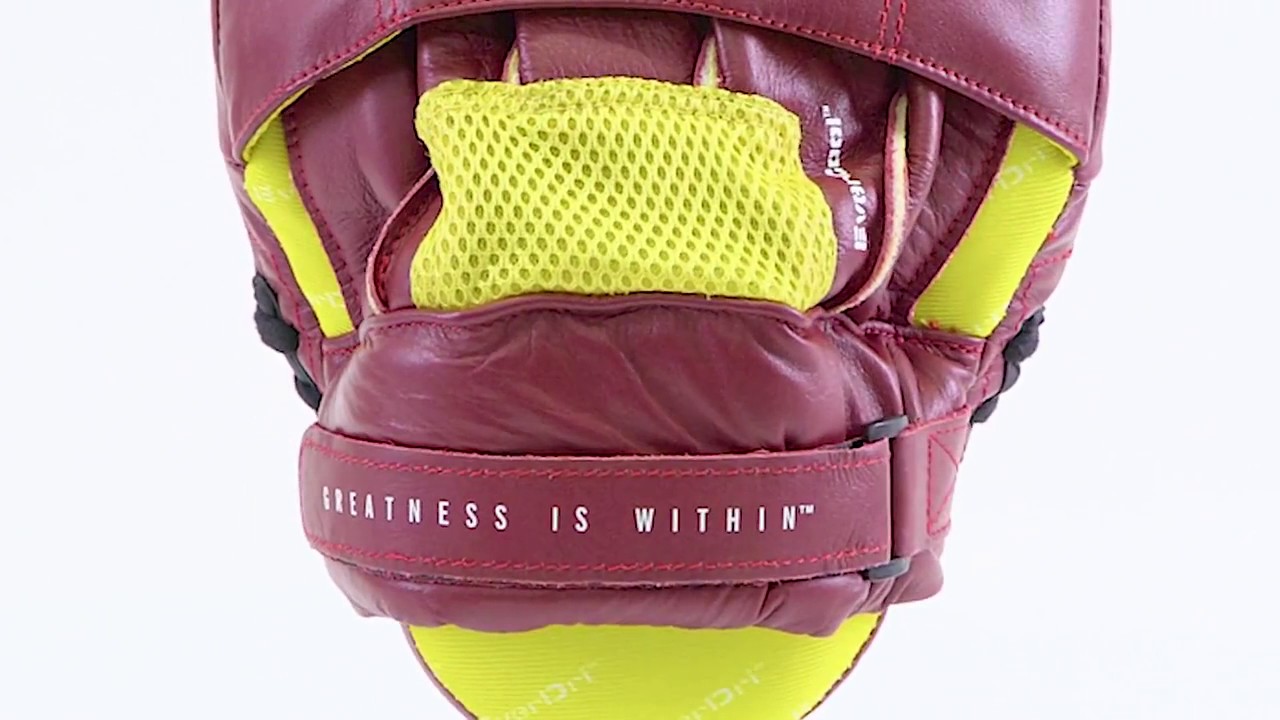 Everlast Elite Punch Mitts