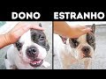 12 Coisas Que Você Faz Que Entristecem Seu Cachorro