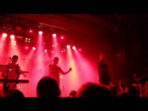 Roope Salminen & Koirat @ Tavastia Taiteiden yö 2014