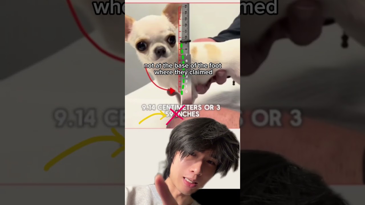 Книга рекордов Гиннесса ошибается!