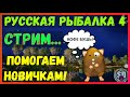 Русская Рыбалка 4 *🌧️НЕ ГРУСТНЫЙ  ВЕЧЕР!🌧️ + 😝ПОМОГАЕМ НОВИЧКАМ!😝*