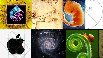 Sezione Aurea e la Successione di Fibonacci: Equazione Divina