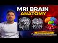 Brain Anatomy for Students | Cerebrum, Cerebellum &amp; Brainstem Explained