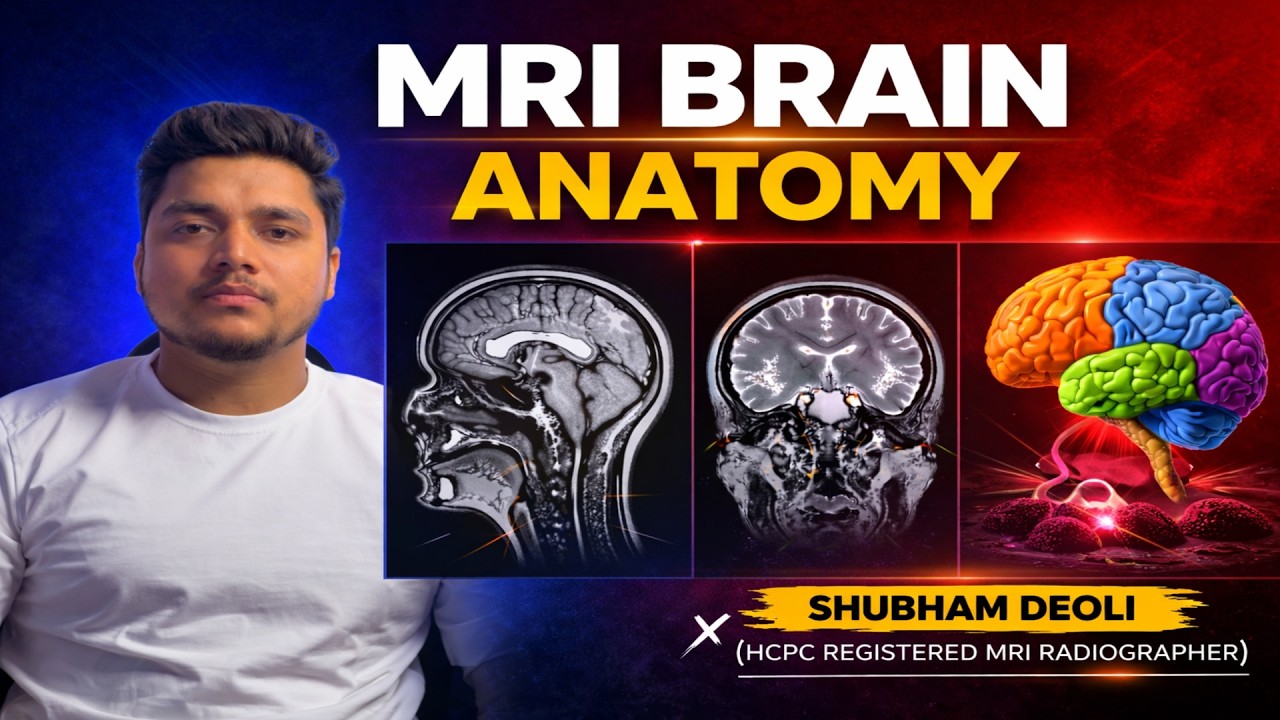 Brain Anatomy for Students | Cerebrum, Cerebellum & Brainstem Explained