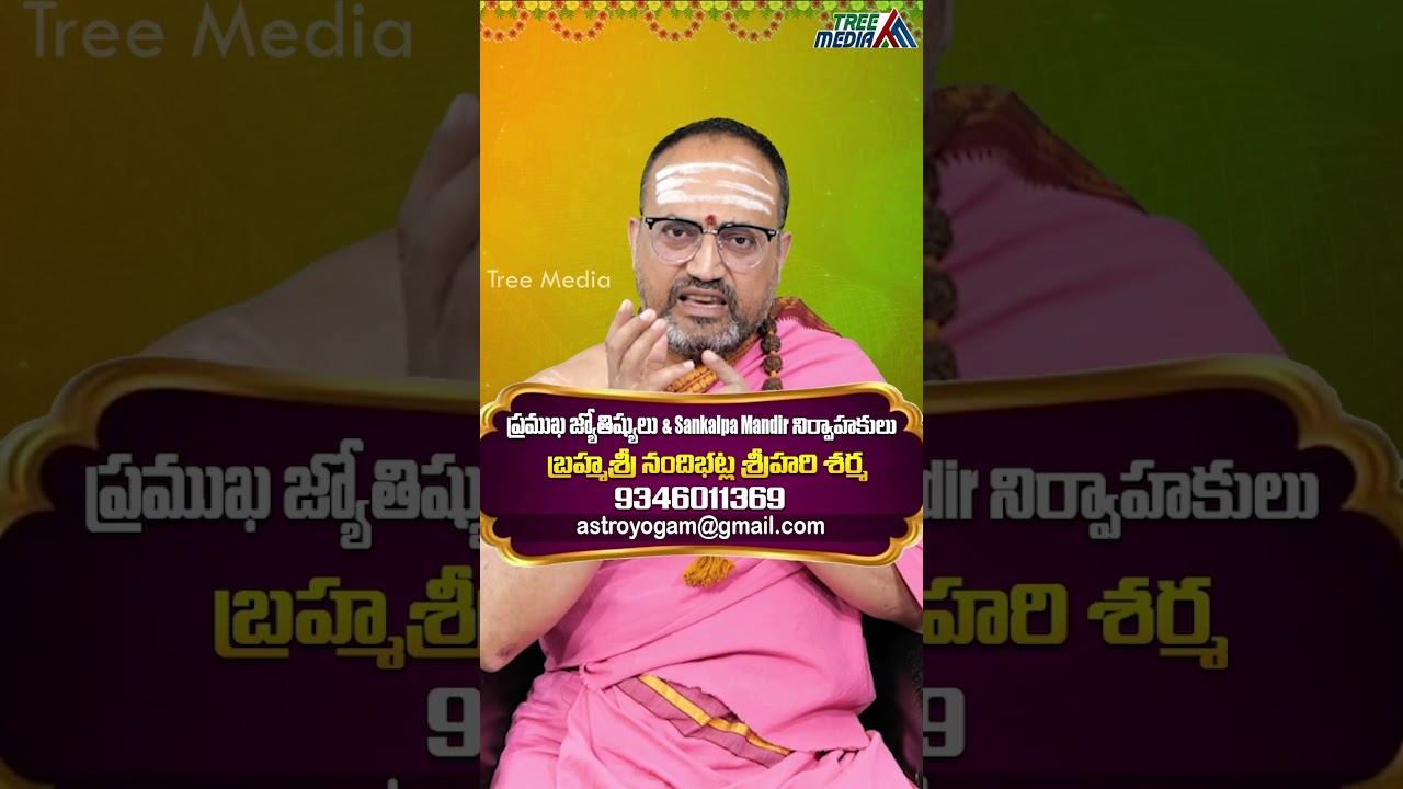 సంతానం లేని వారు సంక్రాంతి రోజున ఏ దానం చేస్తే | Nandibhatla Srihari Sharma | Remedies | Tree Media
